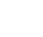 Logo Party Twins Rental